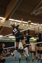 Jymy hakee revanssia HEL Volleysta lauantaina Nurmohallilla. Sunnuntaina kohdataan LP Vampula 2.